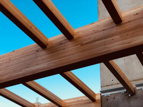 Mass timber beams