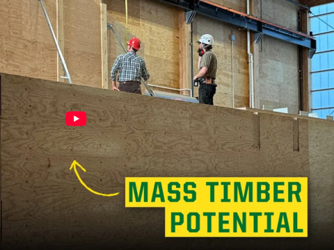 Screenshot of a YouTube video with the title mass timber potential.